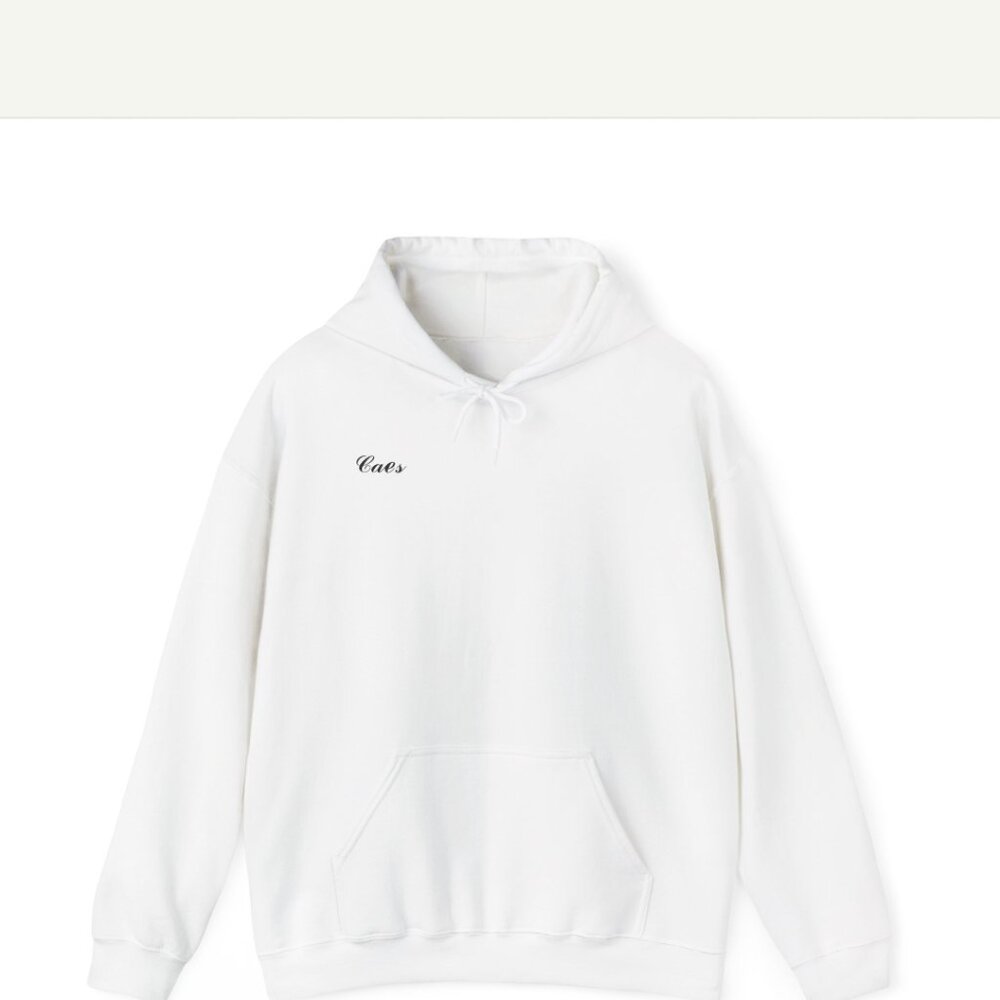 Caes mens small christian hoodie with psalms 56 : 3 on it